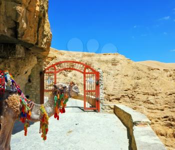 Decorative red gate with a cross on a mountain road going to the temple. Wadi Kelt near Jerusalem. Camel dromedary in the beautiful blanket for transportation of tourists and pilgrims