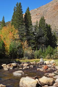 Magnificent multicolored autumn in the mountains of California. Small stream

