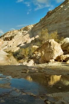 Picturesque canyon Ein-Avdat in desert Negev in Israel