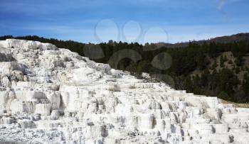 World-wide well-known calcareous formations travertin? in Yellowstone national park

