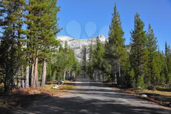 Rather narrow road to mountains of national park Yosemite. Clear solar autumn morning