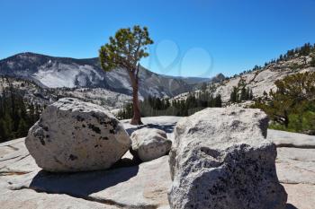 The glade shined by the sun at top of mountain. A magnificent mountain panorama national park Yosemite