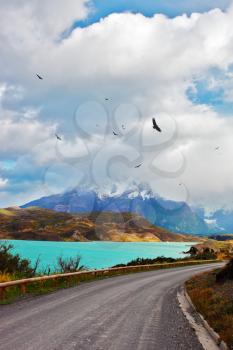 Beautiful Patagonia. The road around the lake Pehoe. Park Torres del Paine in southern Chile