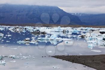  Iceland in July. Icebergs and ice floes in the Ice Lagoon Jokulsarlon