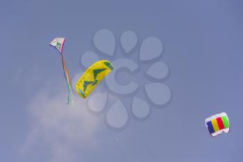 Various kites on summery sea beach