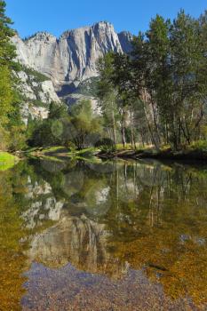 The famous valley of the Merced River in Yosemite. In the clear water reflecting the mountains and the trees