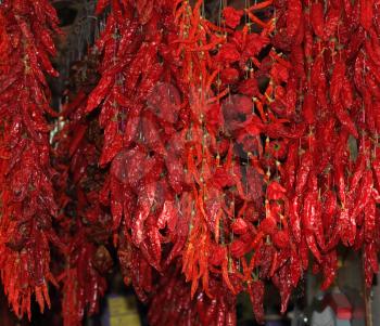 All bright colors of a southern market. Red pods of sharp hot pepper shine on the sun