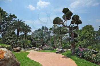 A masterpiece of landscape design - a huge and beautiful park in Thailand. Palm trees and flowers 