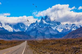 Over the road flying flock of Andean condors. The highway crosses the Patagonia and leads to snow-capped peaks of Mount Fitzroy