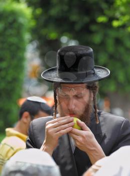 Bnei Brak - September 22: An orthodox Jew in long sidelocks and black hat picks citrus before the holiday of Sukkot September 22, 2010 in Bnei Brak, Israel  
