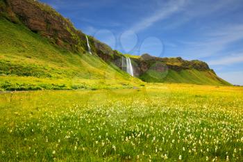  Seljalandsfoss waterfall and picturesque flowering fields and streams. Iceland in July. Warm summer day