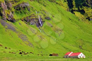 Bright green farm fields at the foot of steep mountains. Typical landscape for the summer in Iceland