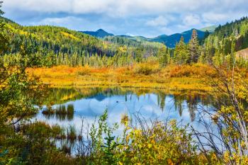 Warm autumn day in park Jasper in Canada. Charming Patricia Lake among evergreen forests, yellow bushes and far mountains