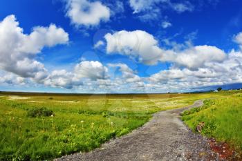 Warm summer days in Iceland. Footpath among the green meadows