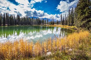 Warm autumn day in Jasper National Park in the Rocky Mountains. Coniferous forest is reflected in the mirrored water of lake