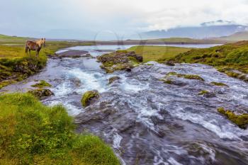  Streams of water in large grassy valley. Summer day in the cold Iceland