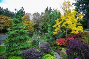  Butchard Garden on Vancouver Island, Canada. Scenic  landscaped park-garden