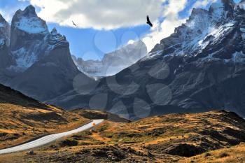 Grandiose landscape in the Chilean Andes. The road between turned yellow hills goes to snow-covered black rocks