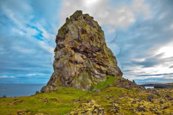 North sea coast of Iceland.  Fantastic ancient rocks covered with green and yellow moss