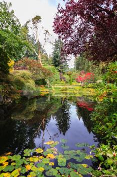 Fantastic floral Butchart Gardens on Vancouver Island, Canada. Quiet pond, overgrown with lilies, among the weeping willows