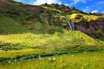 Beautiful summer day in Iceland. Wonderful flowering fields and streams in the vicinity of the falls Selyalandfoss
