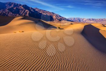 Mesquite Flat Sand Dones in Death Valley. Orange light in the morning over sand dunes. Deep shadows in the hollows