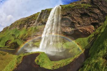  Summer sunny day. Large rainbow decorates a drop of water. Seljalandsfoss waterfall in Iceland. The picture was taken Fisheye lens