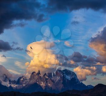 Sunset in the national park Torres del Paine, Chile. Sharp curved peaks rocks Los Quernos
