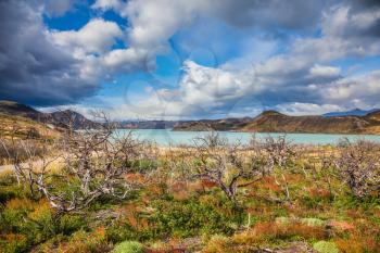 Strong winds of Patagonia. Chile, Patagonia, Torres del Paine National Park - Biosphere Reserve. The concept of eco-tourism