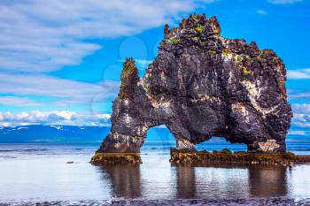 Northwest Iceland. Hvitserkur - basalt rock in the form of a huge scary monster. The concept of extreme northern tourism
