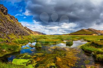 The picturesque valley in Landmannalaugar national park. July in Iceland. Green grass among hot springs