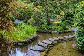  Decorative private garden on Vancouver Island in Canada - Butchart Gardens. The track of stones in  water in Japanese part of garden