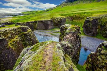  The canyon Fyadrarglyufur in Iceland. Green Tundra in July. Bizarre shape of cliffs and stream with glacial water. The concept of active northern tourism