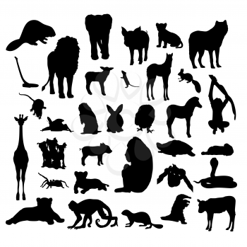 animals silhouettes, wild, pets, farm,etc