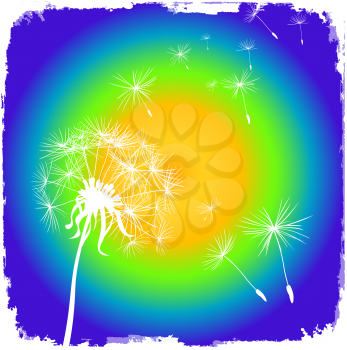 card with dandelion and grunge rainbow background