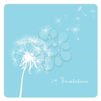 card with dandelion on blue background