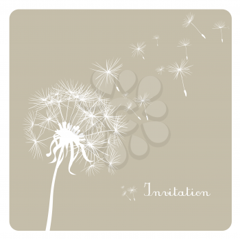 card with dandelion on dusty background