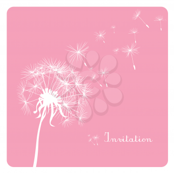 card with dandelion on pink background