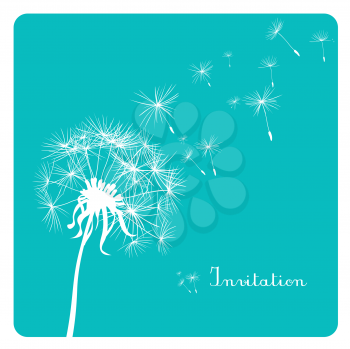 card with dandelion on turqoise background