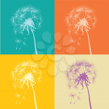 dandelions on pastel backgrounds
