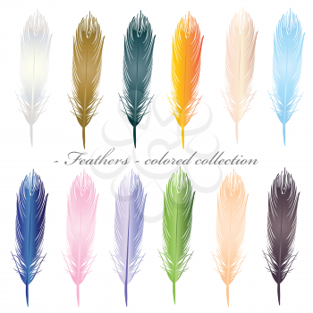 feathers colored collection on white
