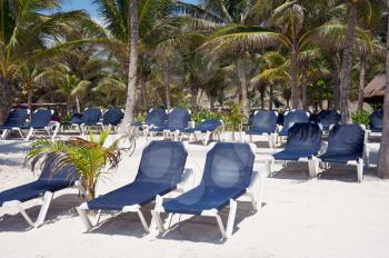 Beach chairs at a resort