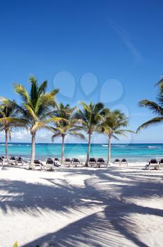 Beach chairs by the Caribbean Sea