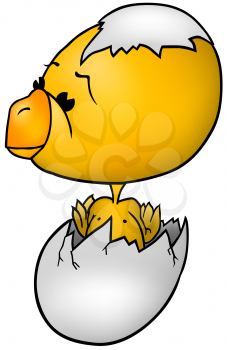 Royalty Free Clipart Image of a Hatched Chick