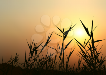 Royalty Free Clipart Image of a Sunrise Over a Field