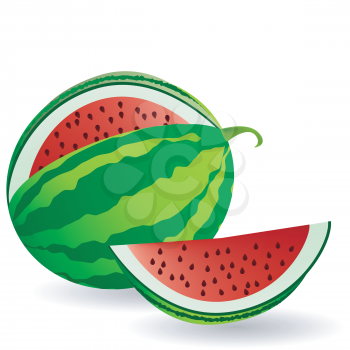 Watermelon with fruit slice
