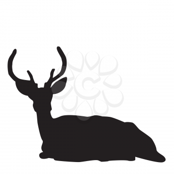 Silhouette of a sitting deer stag over white background
