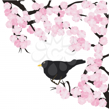 Spring landscape background with bird and sakura