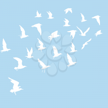 Silhouettes of white flying birds