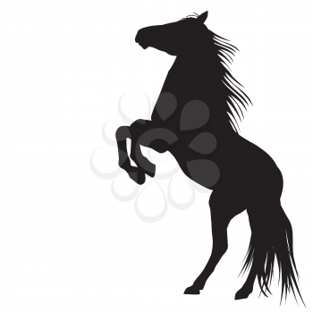 Silhouette of a bucking horse